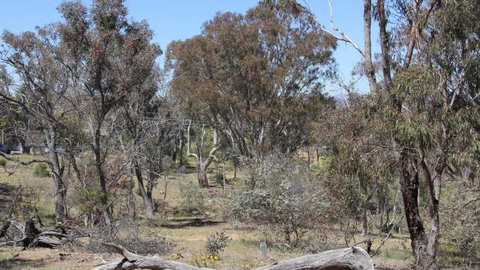 Remembrance Nature Park - Accommodation Coffs Harbour 2