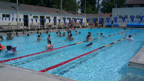 Manuka Pool - Accommodation Coffs Harbour 3