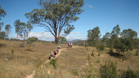 Kambah Pool To Pine Island - Accommodation Coffs Harbour 3