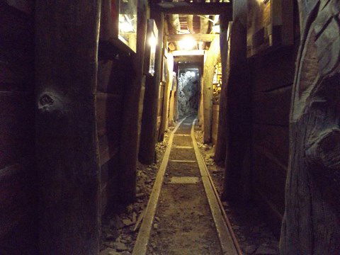 History Hill - Accommodation Coffs Harbour 5