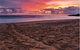 Mon Repos Beach - thumb 0