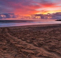 Mon Repos Beach - Accommodation Coffs Harbour