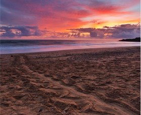 Mon Repos Beach - Accommodation Coffs Harbour 0