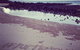 Mon Repos Beach - thumb 1