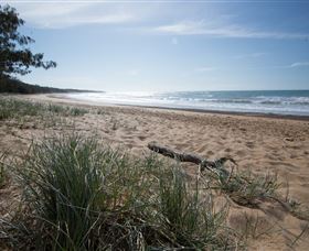 Mon Repos Beach - Accommodation Coffs Harbour 2