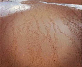 Bargara Beach - Accommodation Coffs Harbour 1