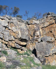 Badgingarra Nature Trail - Accommodation Coffs Harbour 0