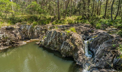 Gorge Walking Track - Accommodation Coffs Harbour 1