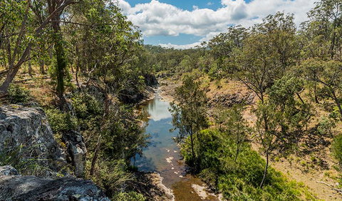 Gorge Walking Track - Accommodation Coffs Harbour 2