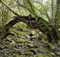 Mitchell River National Park - Accommodation Coffs Harbour
