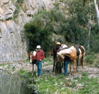 Yarramba Horse Riding - Accommodation Coffs Harbour