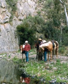Yarramba Horse Riding - Accommodation Coffs Harbour 0