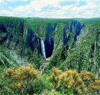 Wollomombi Falls - Accommodation Coffs Harbour