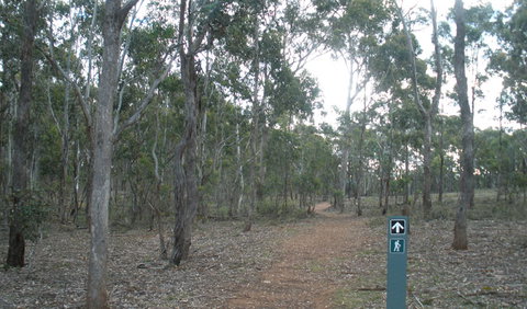 Green Track - Accommodation Coffs Harbour 0