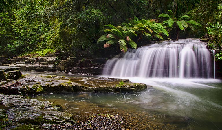Tabbil Creek NSW Accommodation Coffs Harbour