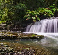 Rocky Crossing walk - Accommodation Coffs Harbour