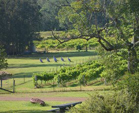 Wollombi Wines - Accommodation Coffs Harbour 8