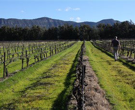 Around Hermitage Wine And Food Trail Hunter Valley - Accommodation Coffs Harbour 1