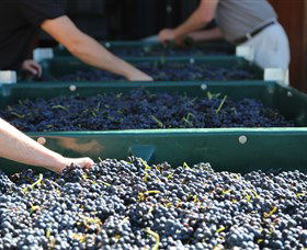 Around Hermitage Wine And Food Trail Hunter Valley - Accommodation Coffs Harbour 6