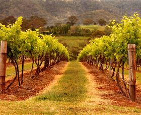 Hunter Valley Wine School - Accommodation Coffs Harbour 1