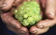 Keith Tulloch Wine - thumb 1