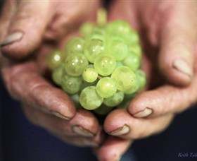 Keith Tulloch Wine - Accommodation Coffs Harbour 1