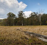 Mummel Gulf National Park - Accommodation Coffs Harbour