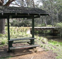 Barrington Tops State Forest - Accommodation Coffs Harbour