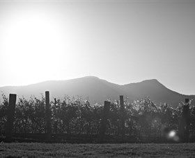 Scarborough Wine Co. - Accommodation Coffs Harbour 1