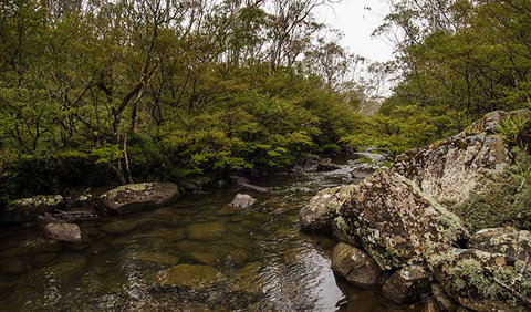 River Walking Track - Accommodation Coffs Harbour 0