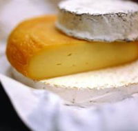 Hunter Valley Cheese Company - Accommodation Coffs Harbour