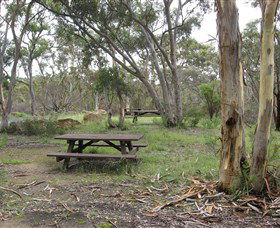 Box Vale Picnic Area - Accommodation Coffs Harbour 2