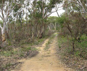 Box Vale Picnic Area - Accommodation Coffs Harbour 4