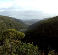 Nattai Gorge Lookout - Accommodation Coffs Harbour