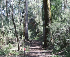 Box Vale Mine Walking Track And Lookout - Accommodation Coffs Harbour 0