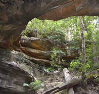 Cave Creek Walking Track - Accommodation Coffs Harbour