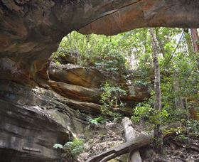 Cave Creek Walking Track - Accommodation Coffs Harbour 0