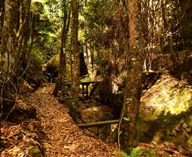 Cave Creek Walking Track - Accommodation Coffs Harbour 2