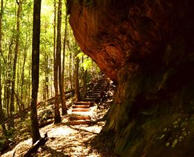 Cave Creek Walking Track - Accommodation Coffs Harbour 1
