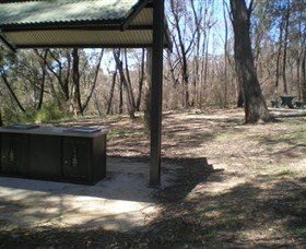 Cave Creek Walking Track - Accommodation Coffs Harbour 4