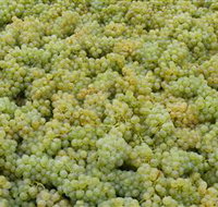 Normanby Wines - Accommodation Coffs Harbour