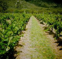 Gartelmann Wines - Accommodation Coffs Harbour