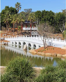Chang Lai Yuan Chinese Gardens - Accommodation Coffs Harbour 1