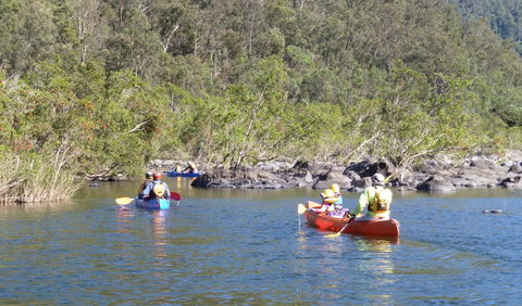 Nymboida National Park - Accommodation Coffs Harbour 1