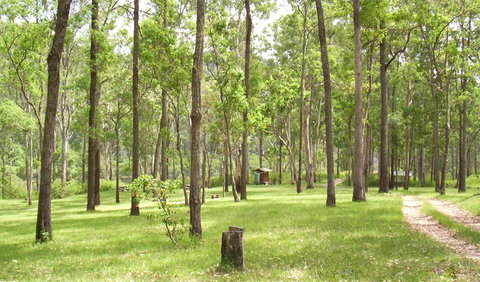 Nymboida National Park - Accommodation Coffs Harbour 2