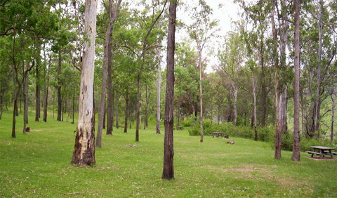 Nymboida National Park - Accommodation Coffs Harbour 3