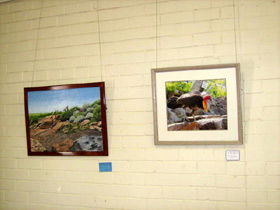 Maryborough Art Society Inc. - Accommodation Coffs Harbour 2