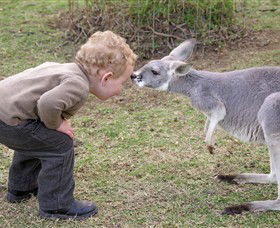 Hunter Valley Zoo - Accommodation Coffs Harbour 3