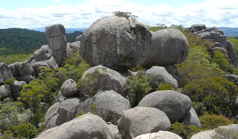 Cathedral Rock National Park - Accommodation Coffs Harbour 0