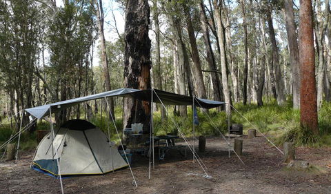 Cathedral Rock National Park - Accommodation Coffs Harbour 1